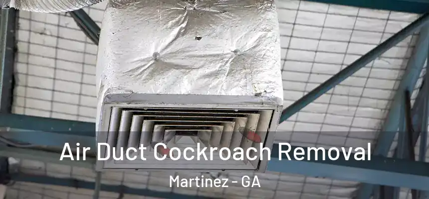 Air Duct Cockroach Removal Martinez - GA