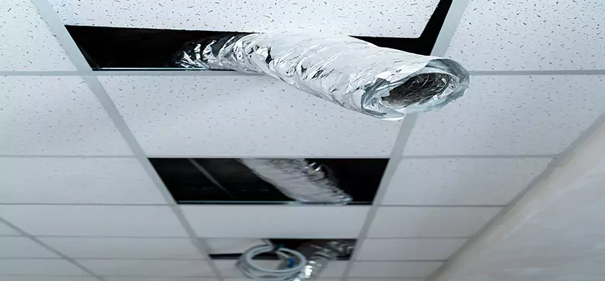 Our Air Duct Pet Hair Removal Services in Martinez, GA