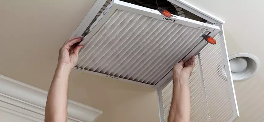 Our Insect Removal from Air Ducts Services in Martinez, GA