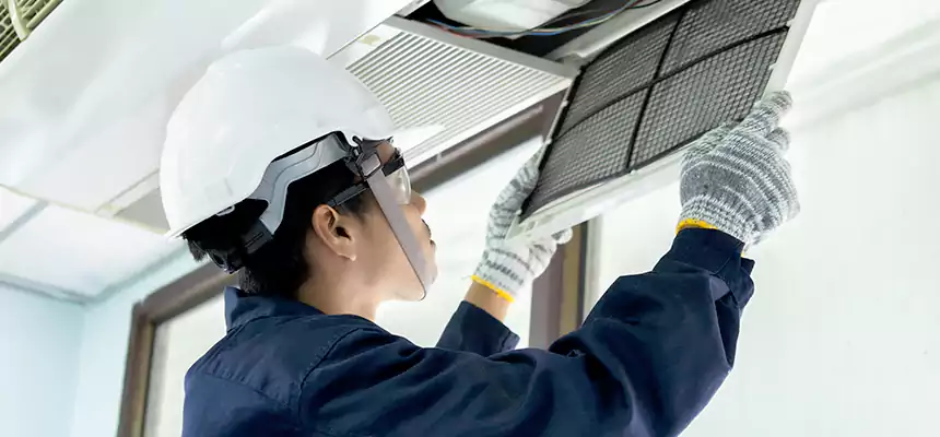 Our Mold & Mildew Removal from Air Ducts Services in Martinez, GA