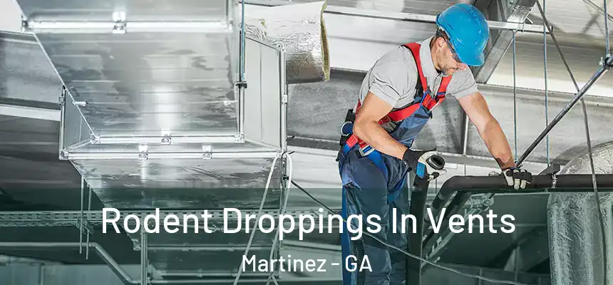  Rodent Droppings In Vents Martinez - GA
