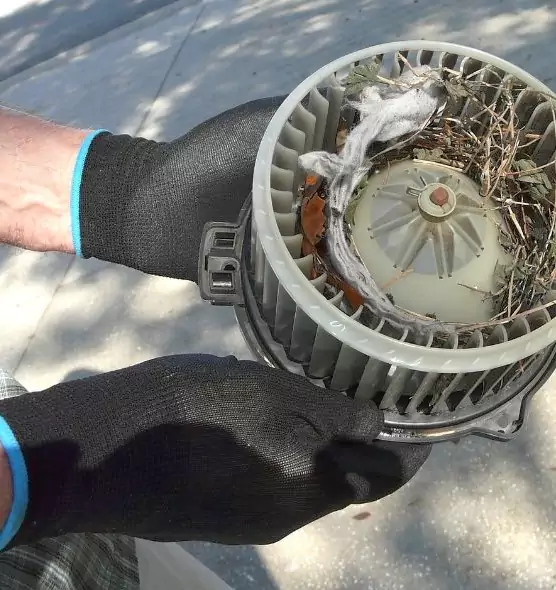 About Air Duct Rat Removal in Martinez, GA