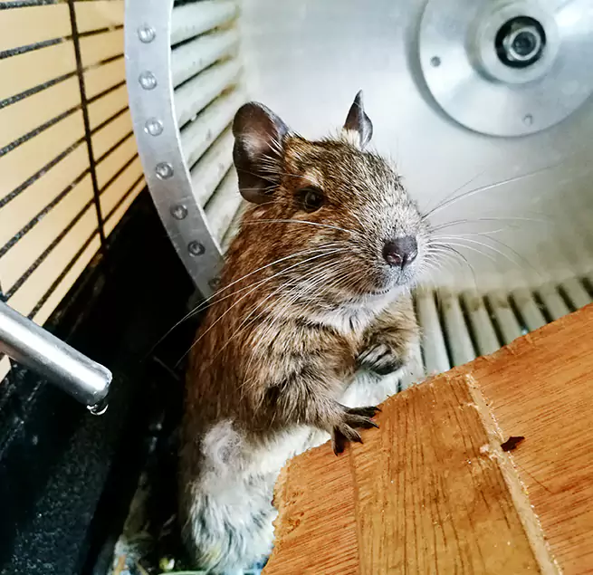 Why Homeowners & Businesses Trust Us Martinez, GA